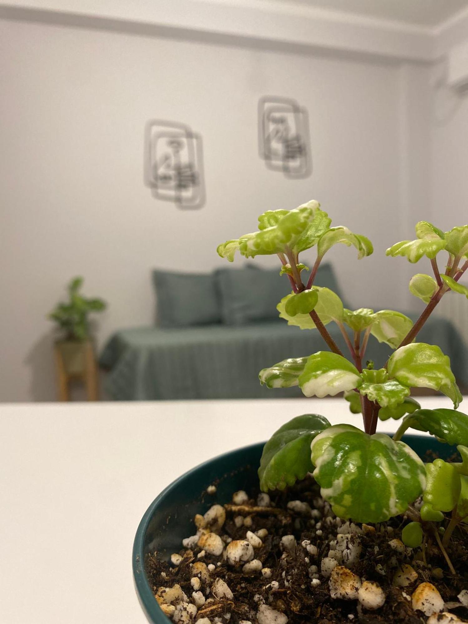 Tierra Alojamientos Salta Ngoại thất bức ảnh